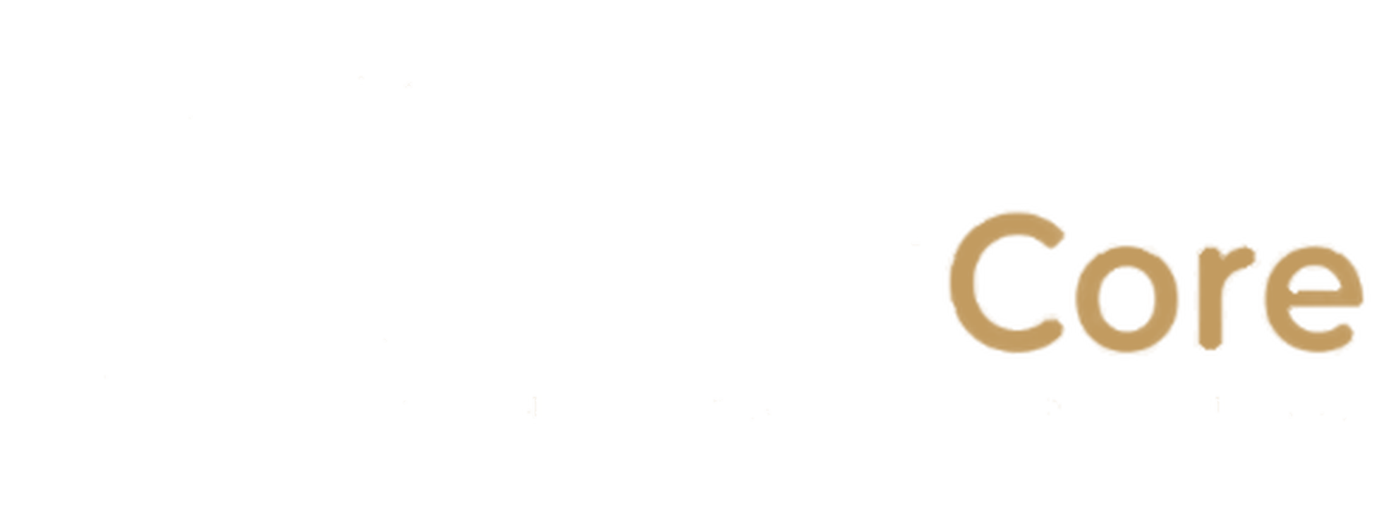 ConsultCore